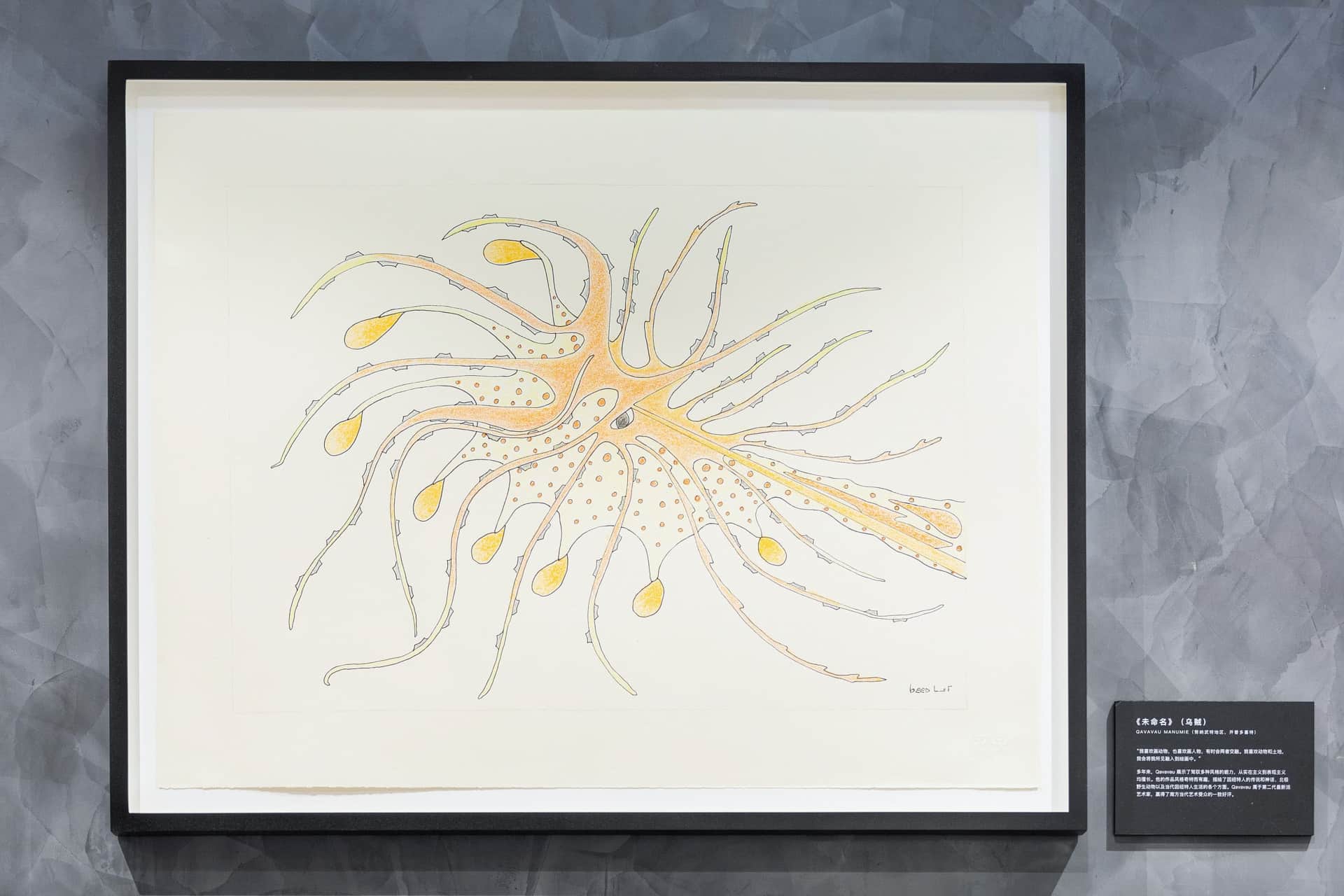 Qavavau Manumie, Untitled 072-2734, 20×26in graphite, coloured pencil, ink